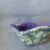 Teal/Purple